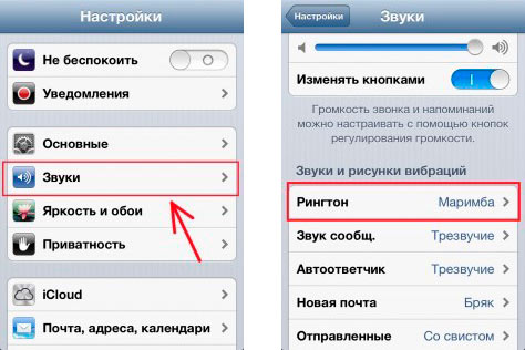 9pic536979f5e Как подарить звуки в itunes